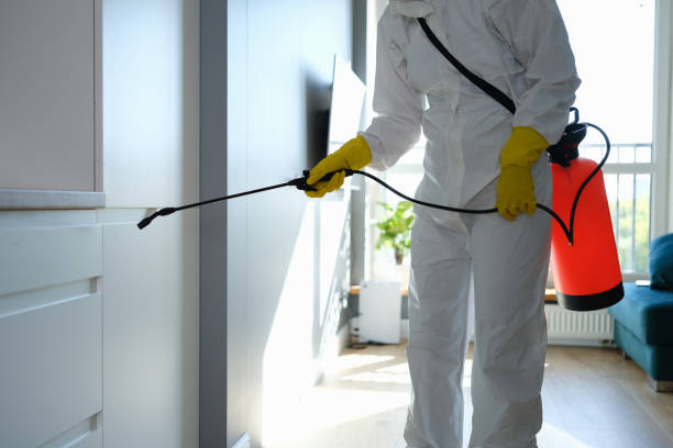 Best Local Mold Removal Service  in Packanack Lake, NJ