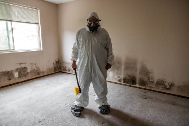 Best Residential Mold Removal  in Packanack Lake, NJ